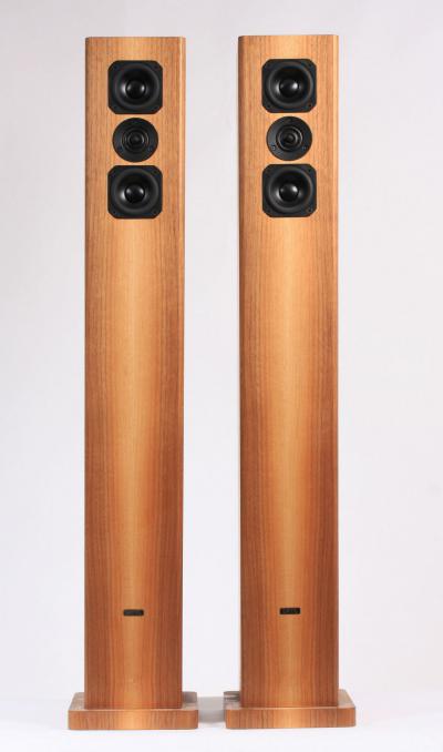 Dayens Tizo Plus photo 2