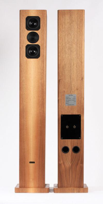 Dayens Tizo Plus photo 3