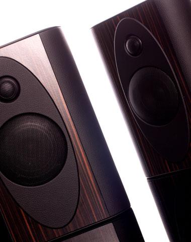 Divine Acoustics Alya 2010-2014 photo 3