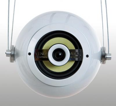 Everything But The Box Ltd. Venus photo 4