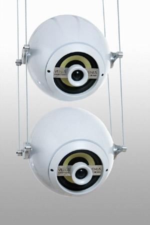 Everything But The Box Ltd. Venus photo 2