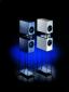 Octwin 5.2M  2-way free standing loudspeaker 