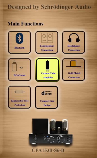 Schrödinger Audio (Confield Technology Limited) 6L6 Compact Vacuum Tube Bluetooth Amplifier photo 6